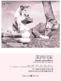 莱西回家