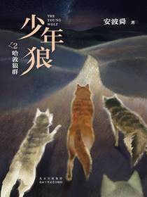少年狼.2哈敦狼群