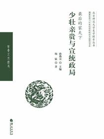 最后的家天下：少壮亲贵与宣统政局