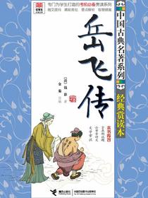 岳飞传