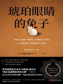 琥珀眼睛的兔子