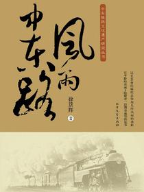 风雨中东路