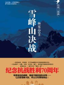 雪峰山决战