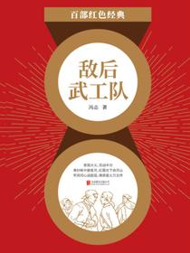 敌后武工队（红色经典）