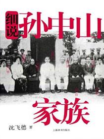 细说孙中山家族（细说中国近代家族史书系）