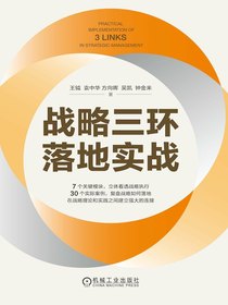 战略三环落地实战