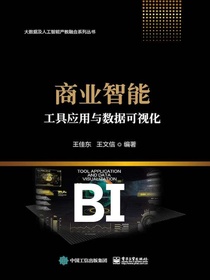 商业智能工具应用与数据可视化