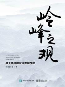 岭峰之观：基于环境的企业发展战略