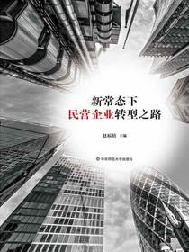 新常态下民营企业转型之路