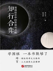 知行合弈：围棋技艺中的思维和战略