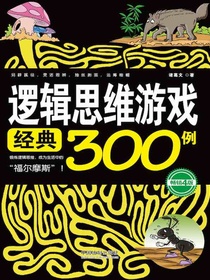 逻辑思维游戏经典300例（畅销4版）