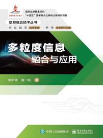 多粒度信息融合与应用