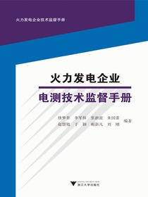 火力发电企业电测技术监督手册