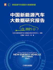 中国新能源汽车大数据研究报告（2021）