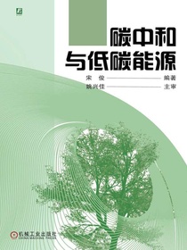 碳中和与低碳能源
