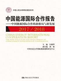 中国能源国际合作报告2017/2018：中国能源国际合作的新格局与新发展（中国人民大学研究报告系列