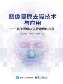 图像复原去噪技术与应用：基于图像块先验建模的视角