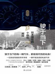 驶于当下：技术理性的个体化阐释