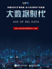 大数据时代（含光盘2张）