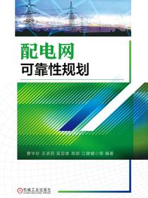 配电网可靠性规划