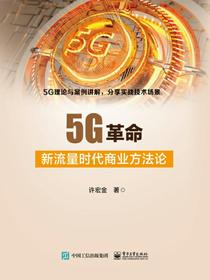 5G革命：新流量时代商业方法论