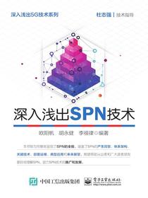 深入浅出SPN技术