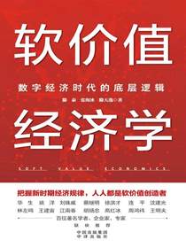 软价值经济学：数字经济时代的底层逻辑