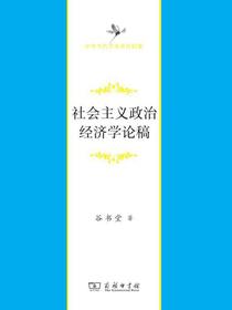 社会主义政治经济学论稿