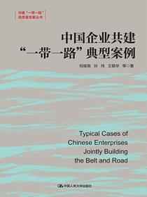 中国企业共建“一带一路”典型案例（共建“一带一路”高质量发展丛书）