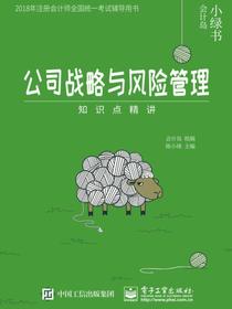 公司战略与风险管理——知识点精讲