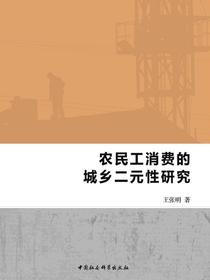 农民工消费的城乡二元性研究