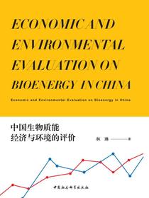 中国生物质能经济与环境的评价