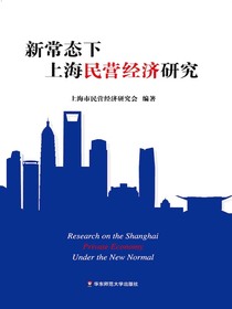 新常态下上海民营经济研究