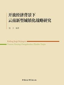 开放经济背景下云南新型城镇化战略研究