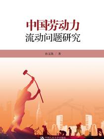 中国劳动力流动问题研究