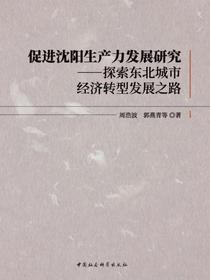 促进沈阳生产力发展研究