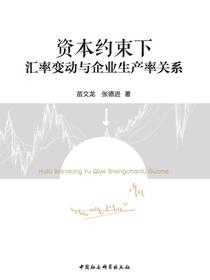 资本约束下汇率变动与企业生产率关系