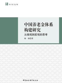 中国养老金体系构建研究：从宏观到微观的思考