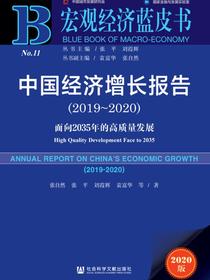 中国经济增长报告：面向2035年的高质量发展（2019～2020）（宏观经济蓝皮书）