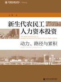 新生代农民工人力资本投资：动力、路径与累积