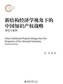 新结构经济学视角下的中国知识产权战略：理论与案例