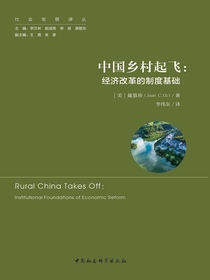 中国乡村起飞：经济改革的制度基础