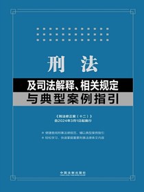 刑法及司法解释、相关规定与典型案例指引