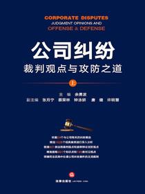 公司纠纷裁判观点与攻防之道：上册