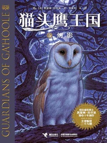 幻影（猫头鹰王国5）