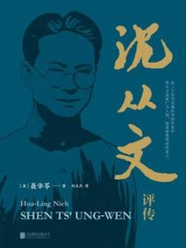 沈从文评传