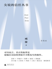 尖锐的信任丛书（臧棣诗系）