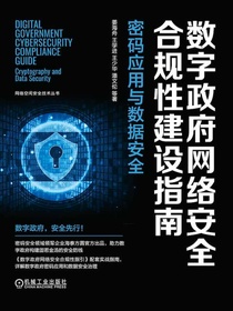 数字政府网络安全合规性建设指南：密码应用与数据安全
