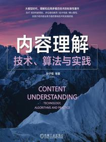 内容理解：技术、算法与实践