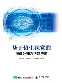 基于仿生视觉的图像处理方法及应用